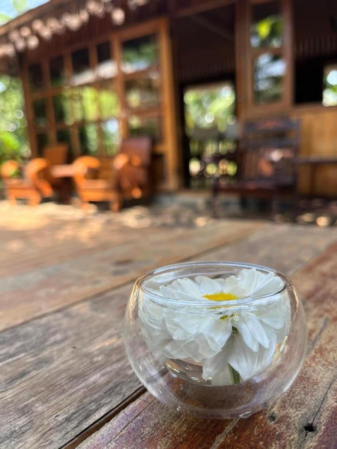 Moc An Nhien Farmstay Pleiku Zewnętrze zdjęcie